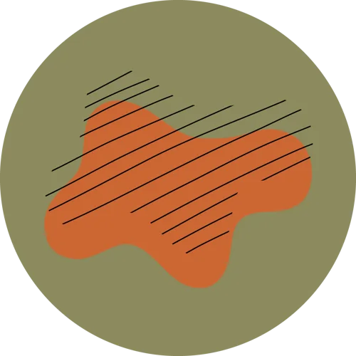 Sticker Atelier SanSam : tache mandarine hachurée sur fond olive