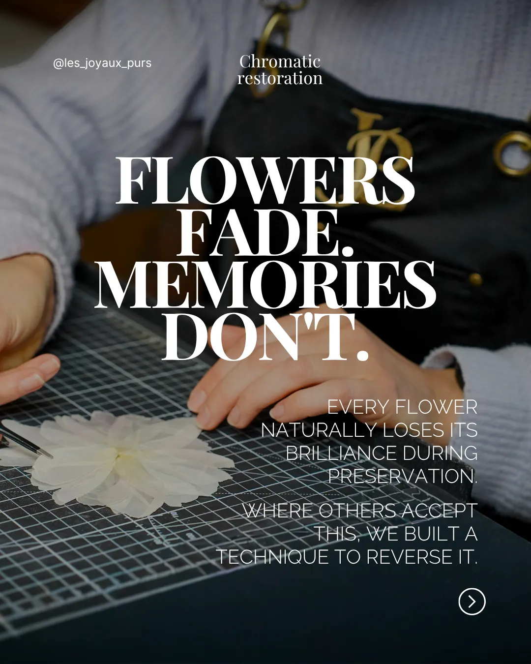 Carrousel Instagram : les fleurs fanent, les souvenirs restent