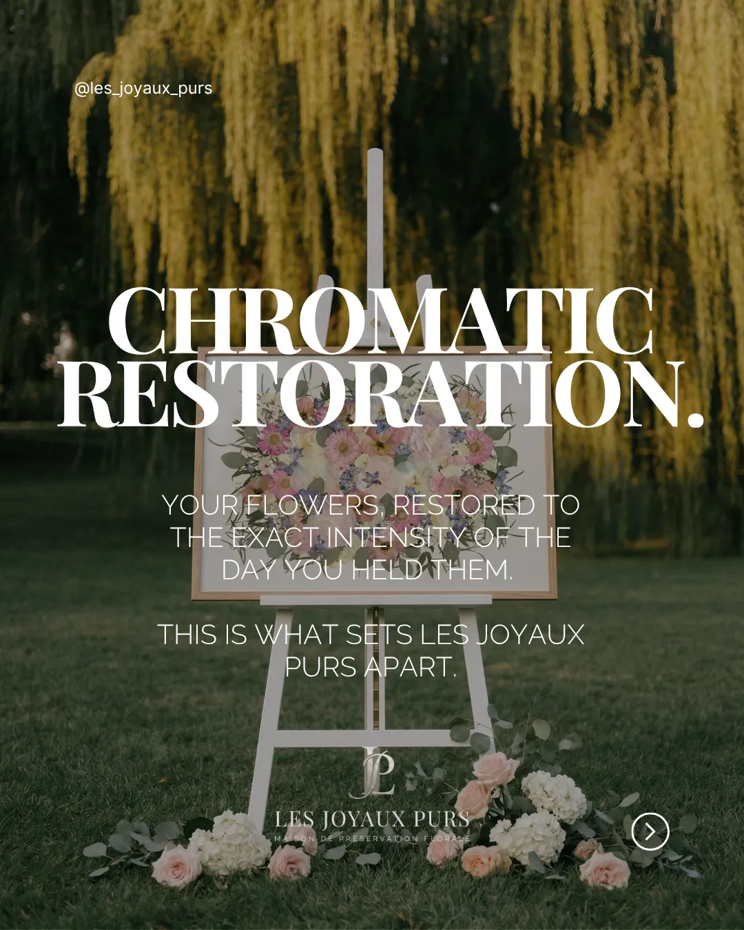 Carrousel Instagram Les Joyaux Purs : restauration chromatique