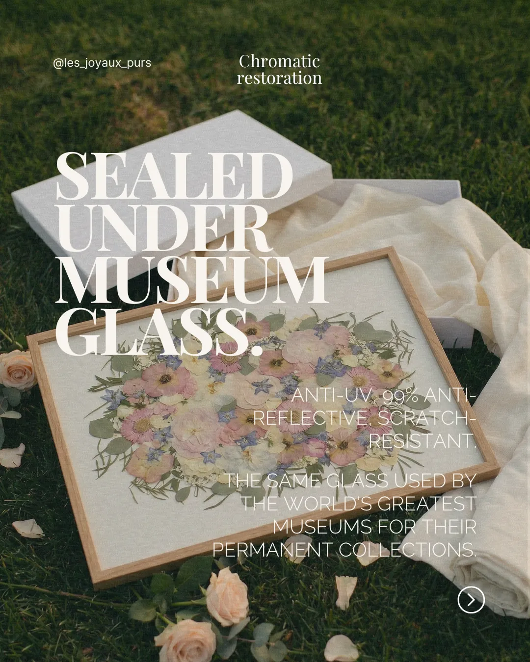 Carrousel Instagram : fleurs scellées sous verre musée